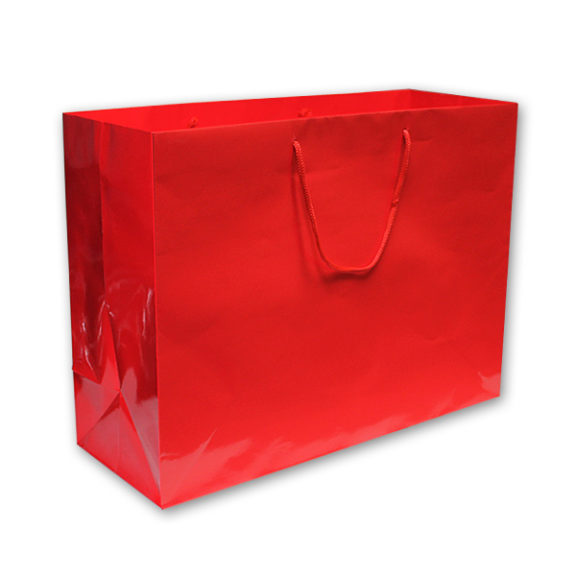 Glossy Euro-Tote Vogue Bags 6