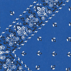 Blue Bandana Tissue