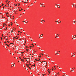Red Bandana Tissue