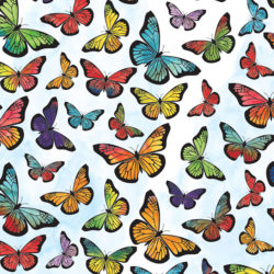 Monarch Butterfly Tisse
