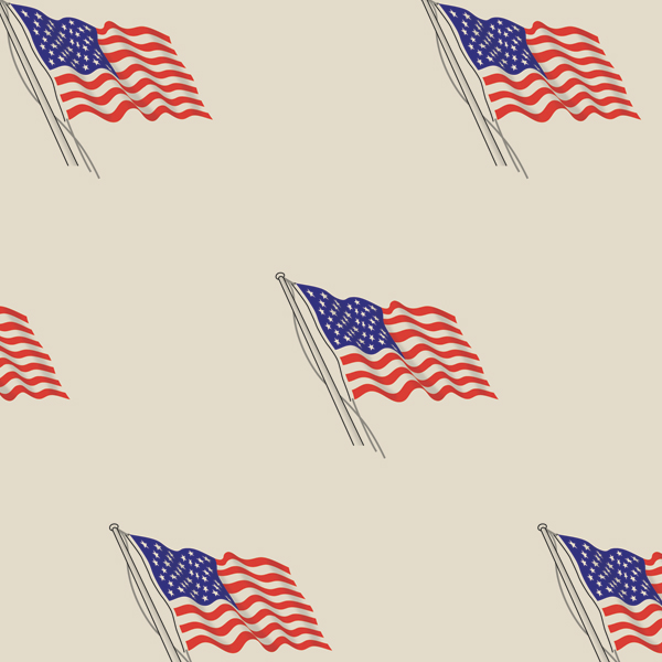 USA Flag Tissue 4